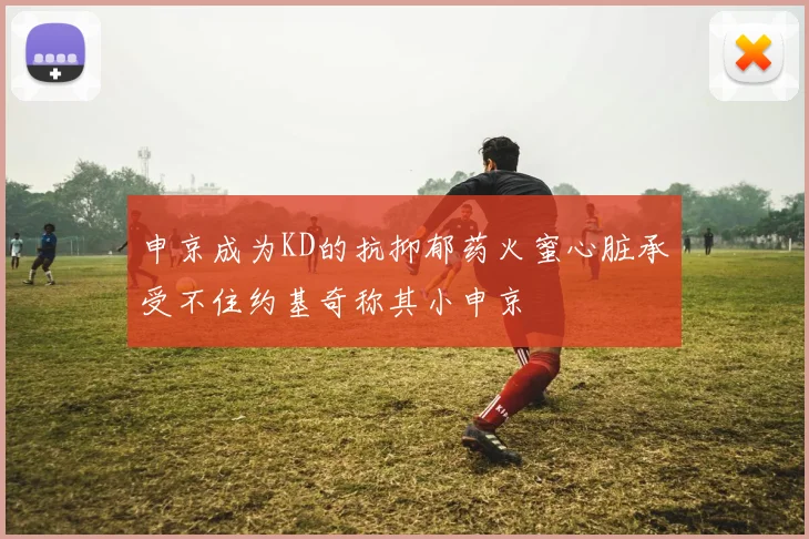 申京成为KD的抗抑郁药火蜜心脏承受不住约基奇称其小申京
