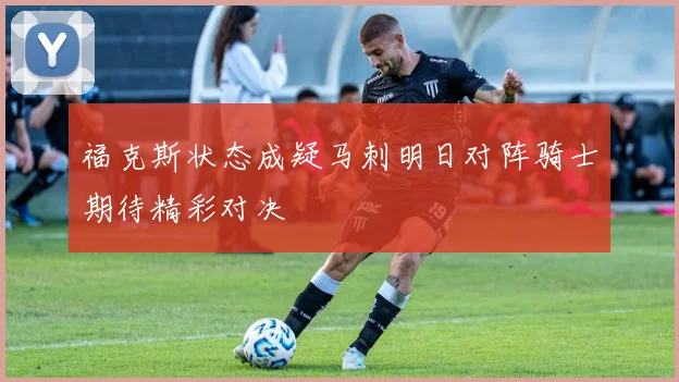 福克斯状态成疑马刺明日对阵骑士期待精彩对决